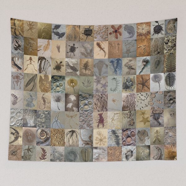 Item preview, Fossils designed and sold by Montage-Madness.