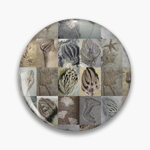 Item preview, Crinoids designed and sold by Montage-Madness.