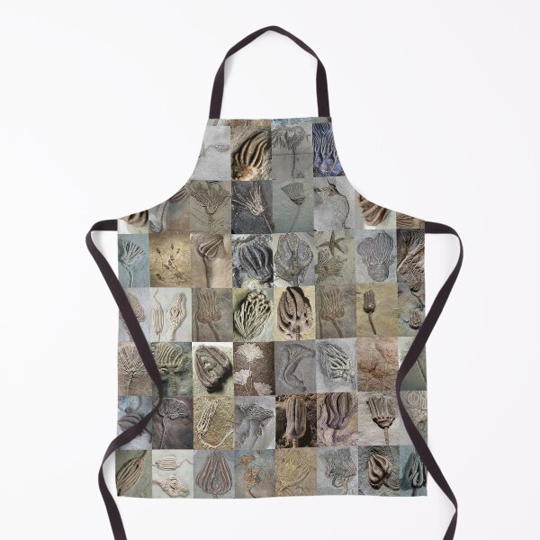 Item preview, Crinoids designed and sold by Montage-Madness.