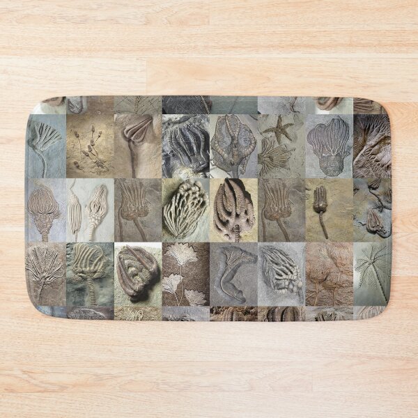 Item preview, Crinoids designed and sold by Montage-Madness.
