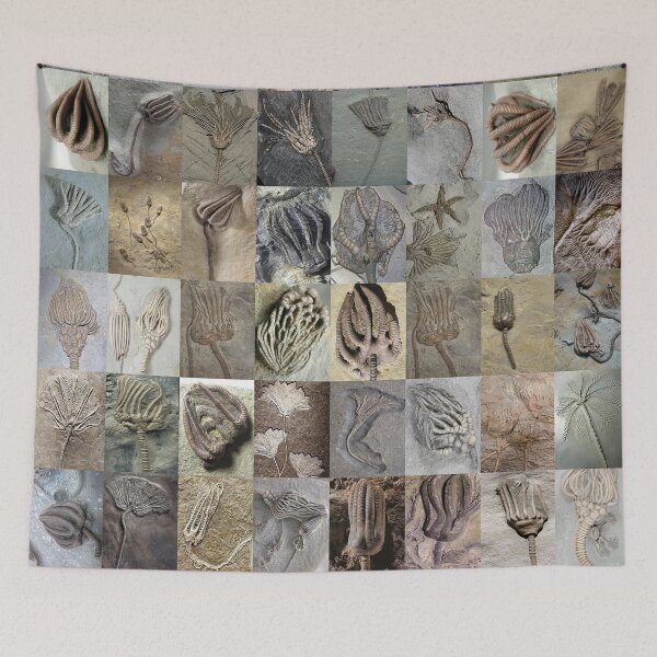 Item preview, Crinoids designed and sold by Montage-Madness.