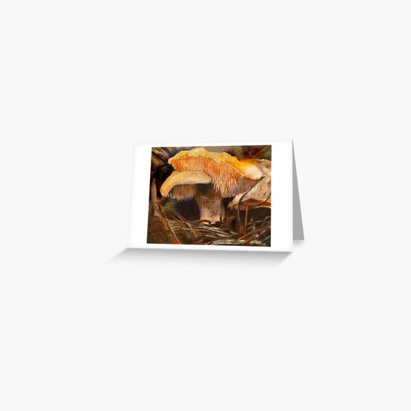 Hedgehog Greeting Card
