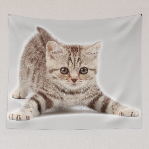 Item preview, The Striped Kitten Spread Its Paws To Play designed and sold by Phantasmal-2-do.