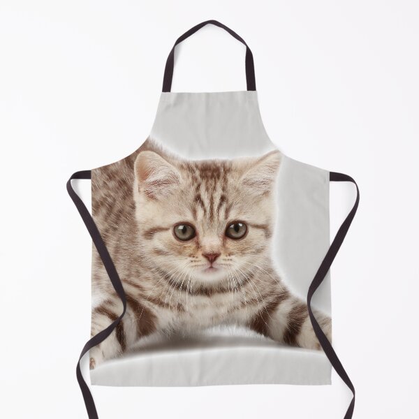 Item preview, The Striped Kitten Spread Its Paws To Play designed and sold by Phantasmal-2-do.