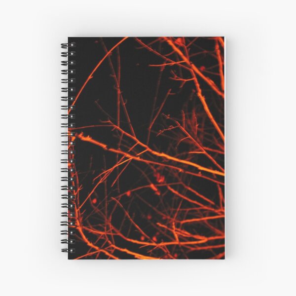 trees at night Spiral Notebook