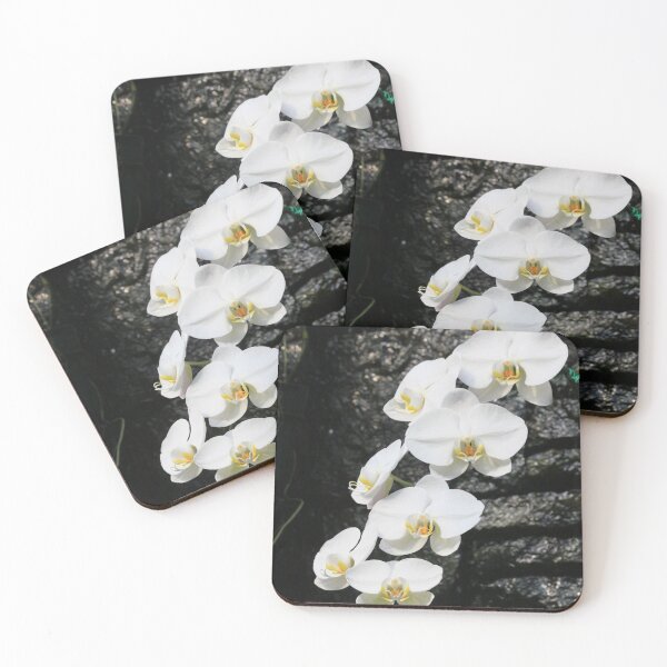 Item preview, White Orchids designed and sold by BlueFeather Images.
