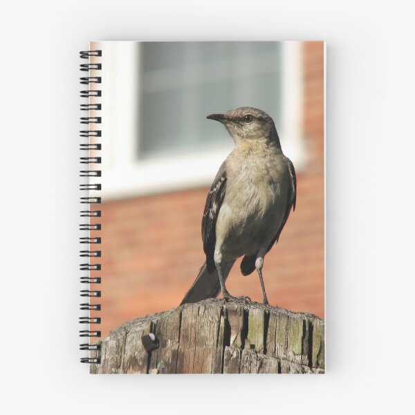 Item preview, Mockingbird on a Post designed and sold by Heidi Grantier.