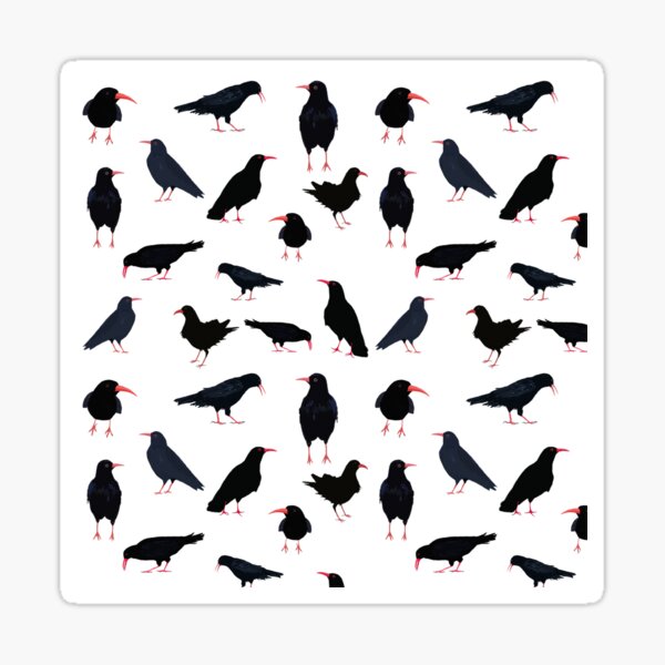 Item preview, A chattering of Choughs designed and sold by natgrose.