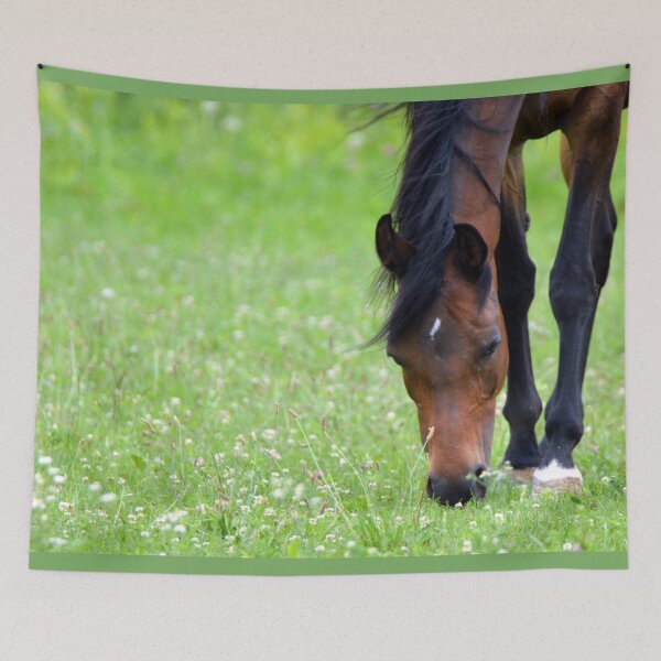 Item preview, Chestnut Horse designed and sold by Drgnfly4free.