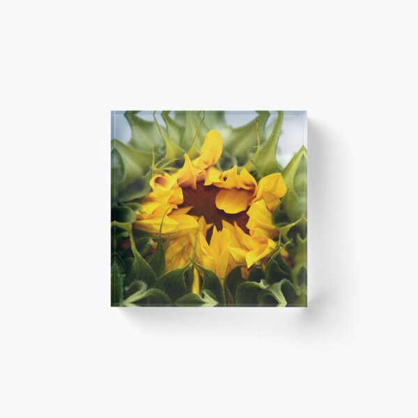Item preview, Beginnings designed and sold by BlueFeather Images.