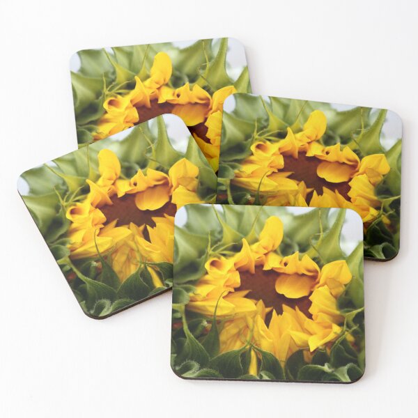 Item preview, Beginnings designed and sold by BlueFeather Images.