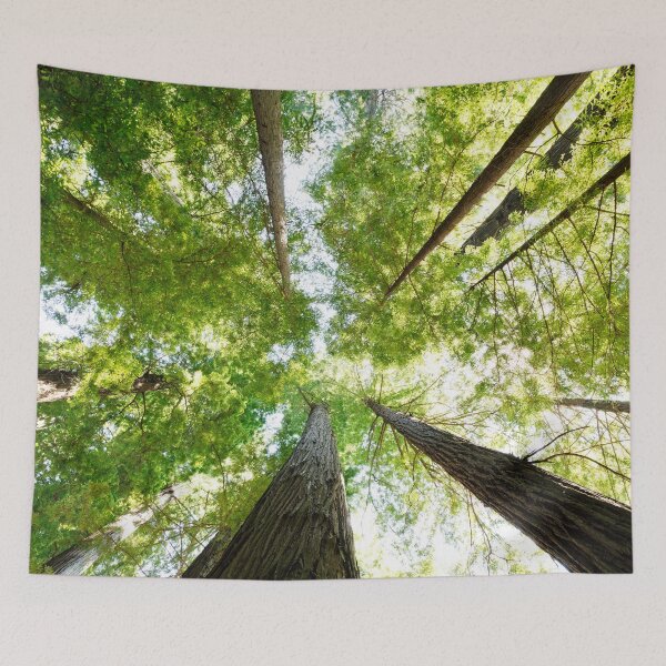 Item preview, Forest designed and sold by PosterLandShop.