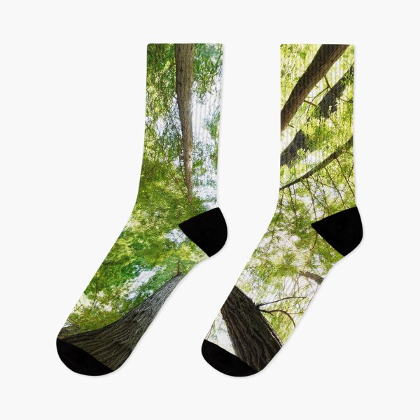 Item preview, Forest designed and sold by PosterLandShop.
