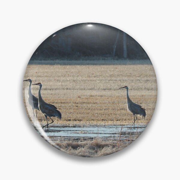 Item preview, Sandhill Cranes One designed and sold by Susie Kramer.