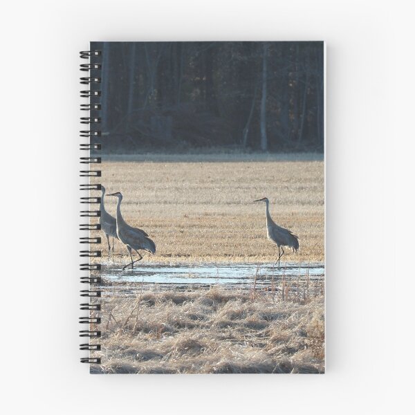 Item preview, Sandhill Cranes One designed and sold by Susie Kramer.