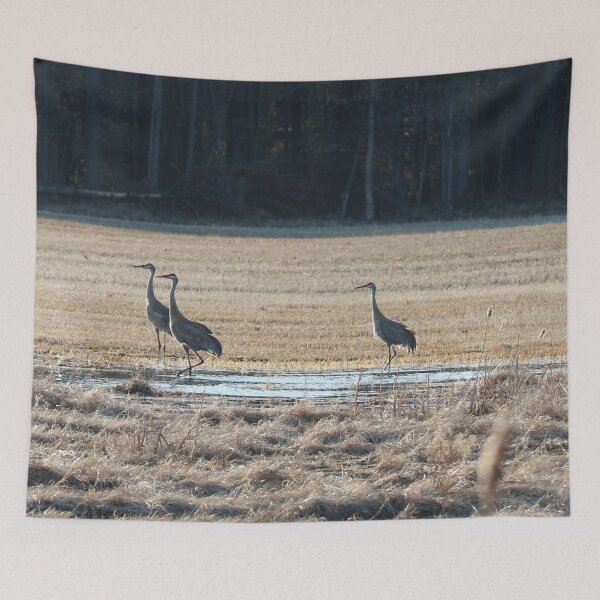 Item preview, Sandhill Cranes One designed and sold by Susie Kramer.