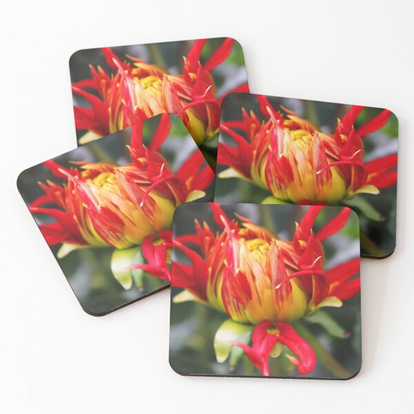 Item preview, Budding Dahlia designed and sold by BlueFeather Images.
