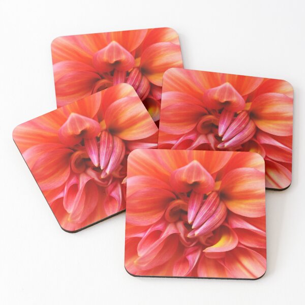 Item preview, Varigated Dahlia designed and sold by BlueFeather Images.