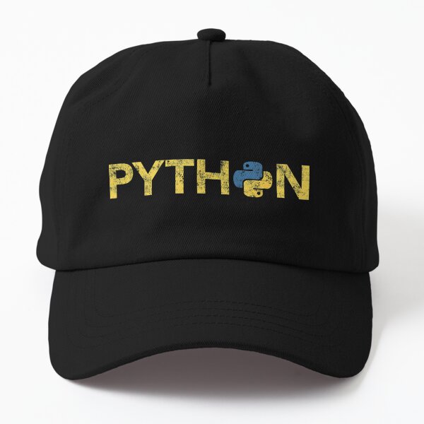 Python Programmer Retro Style