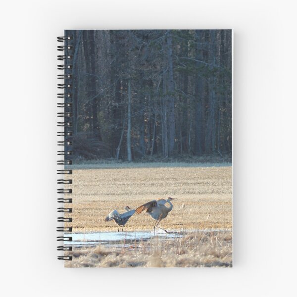 Item preview, Sandhill Cranes Two designed and sold by Susie Kramer.