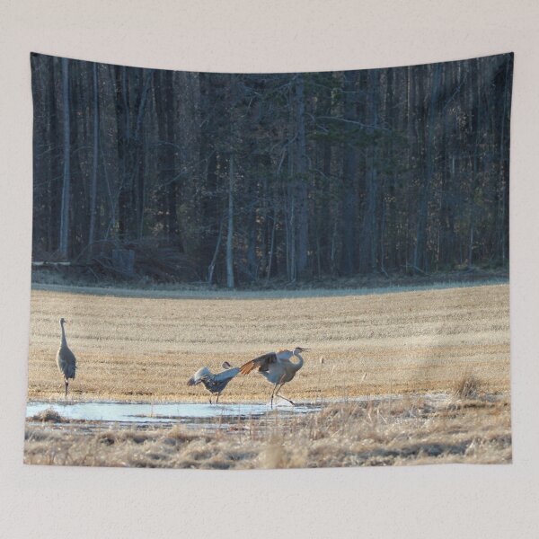 Item preview, Sandhill Cranes Two designed and sold by Susie Kramer.