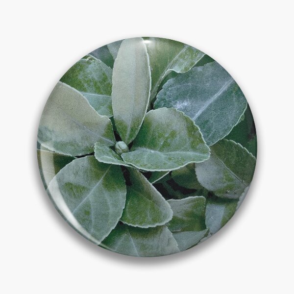 Item preview, Cool vintage leaves pattern designed and sold by maisiriva.