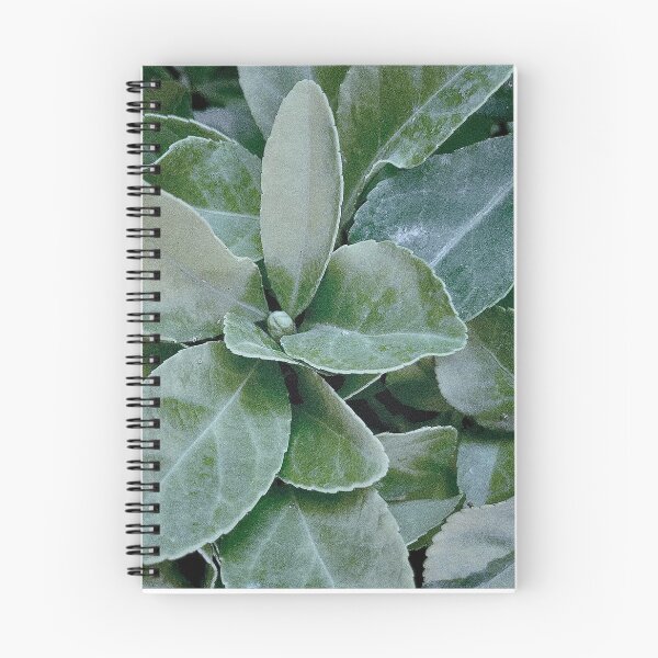 Item preview, Cool vintage leaves pattern designed and sold by maisiriva.