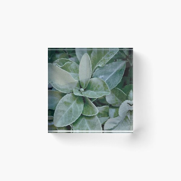 Item preview, Cool vintage leaves pattern designed and sold by maisiriva.