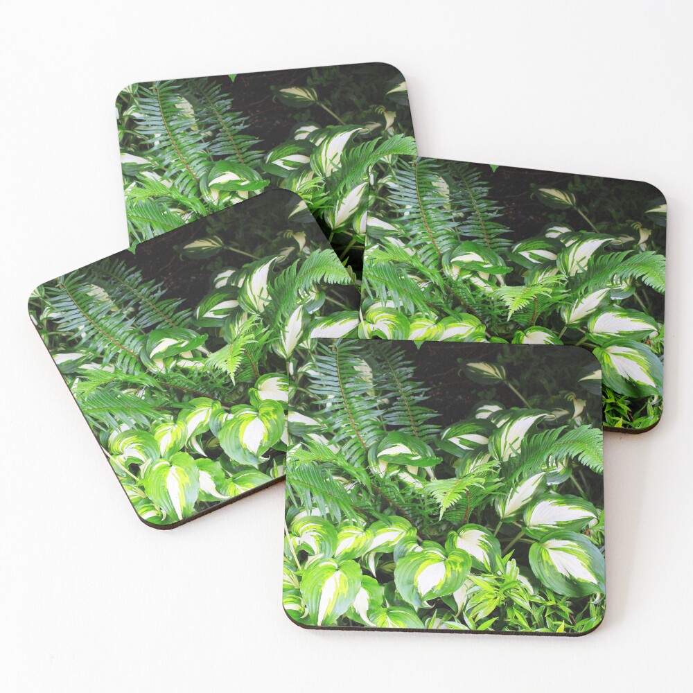 Item preview, Coasters (Set of 4) designed and sold by BlueFeather.