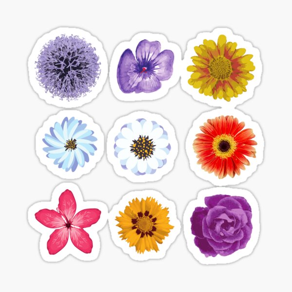 Pack of summer flower patterns Sticker