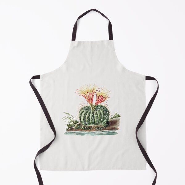 Item preview, Sun Cup Cactus (Echinocactus Concinnus) from Iconographie descriptive des cactées designed and sold by two peas in a pod.