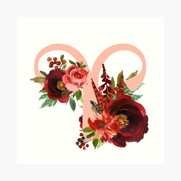 Aries Flower - What Is The Aries Zodiac Flower? | BloomBar