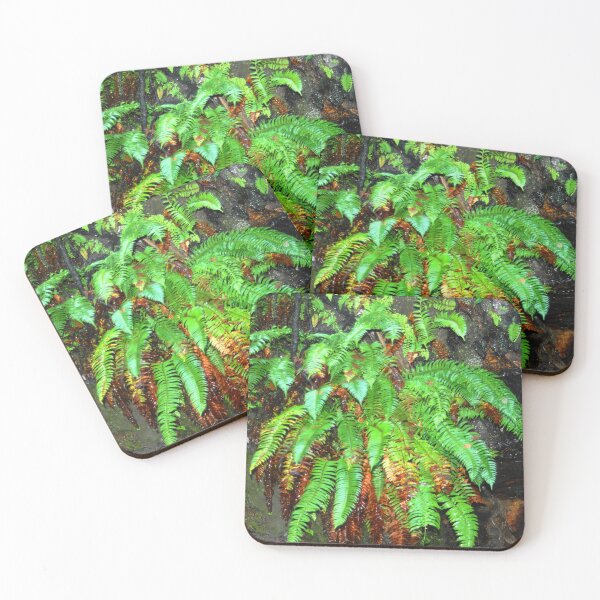Item preview, Rainforest Fern designed and sold by BlueFeather Images.