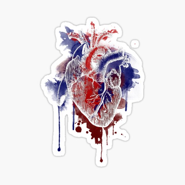 Digital Anatomical Watercolor Heart (White Version) Sticker