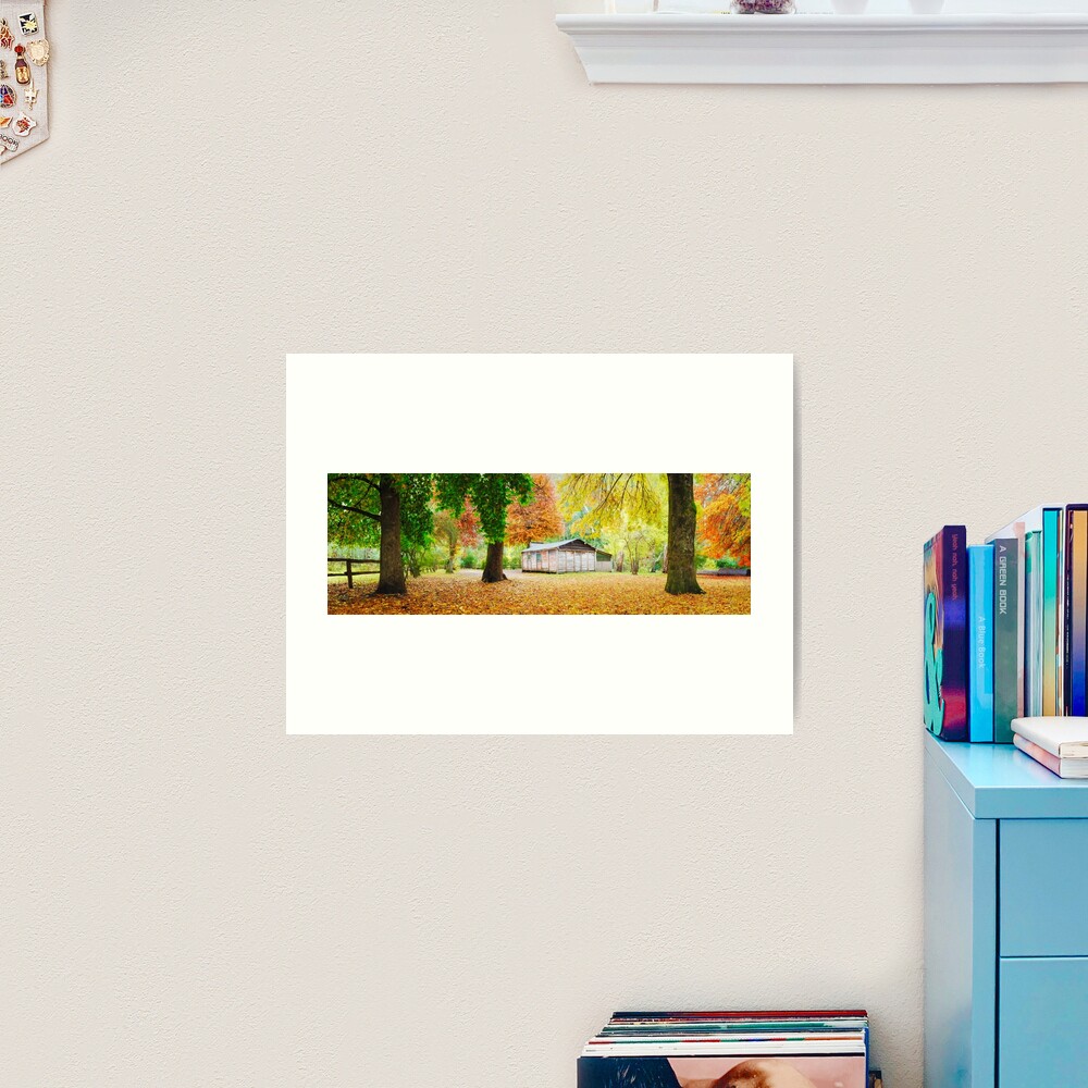 Pickerings Hut, Howqua Hills, Victoria, Australia Art Print