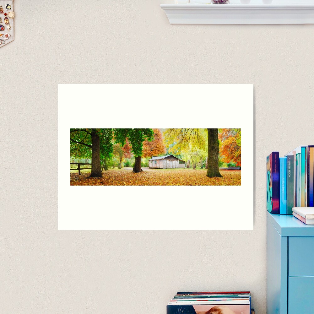 Pickerings Hut, Howqua Hills, Victoria, Australia Art Print