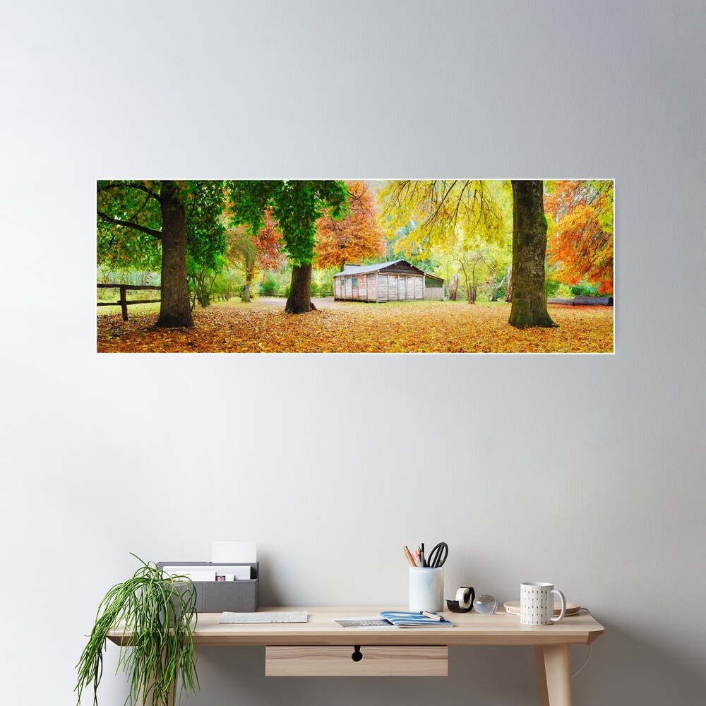 Pickerings Hut, Howqua Hills, Victoria, Australia Poster