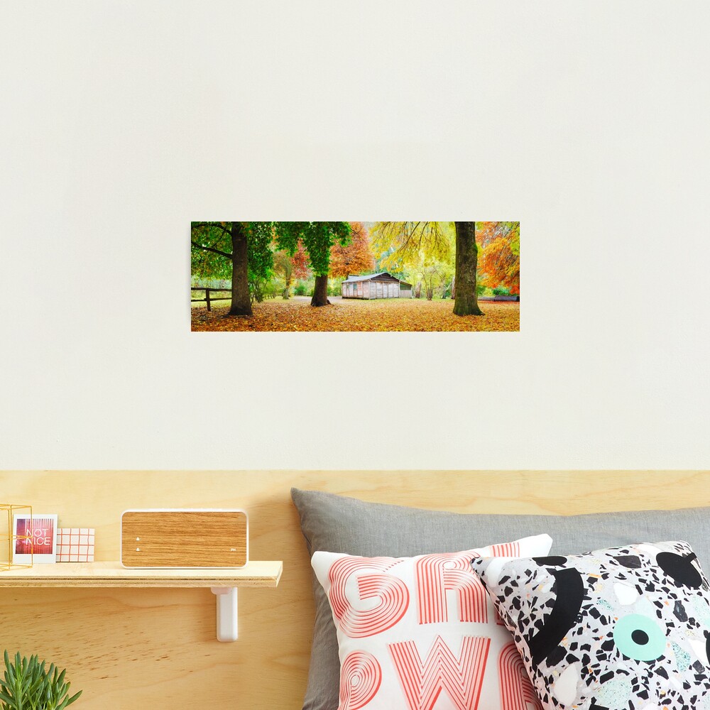 Pickerings Hut, Howqua Hills, Victoria, Australia Photographic Print
