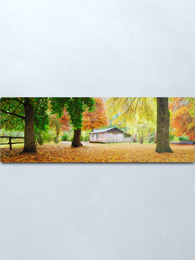 Alternate view of Pickerings Hut, Howqua Hills, Victoria, Australia Metal Print