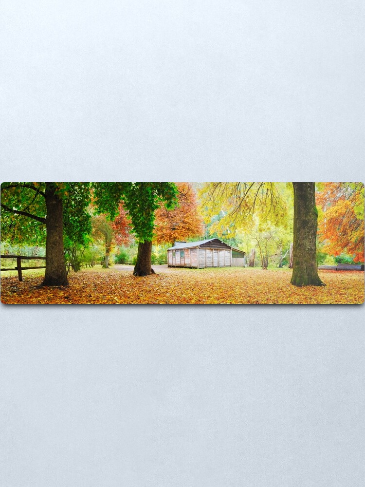 Alternate view of Pickerings Hut, Howqua Hills, Victoria, Australia Metal Print