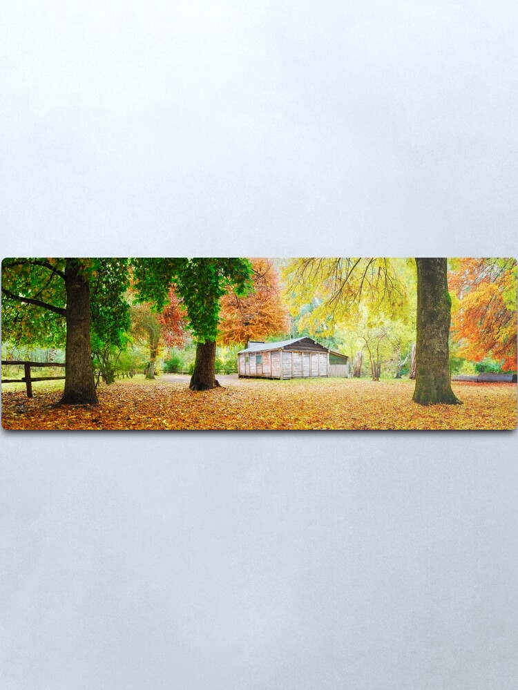 Alternate view of Pickerings Hut, Howqua Hills, Victoria, Australia Metal Print