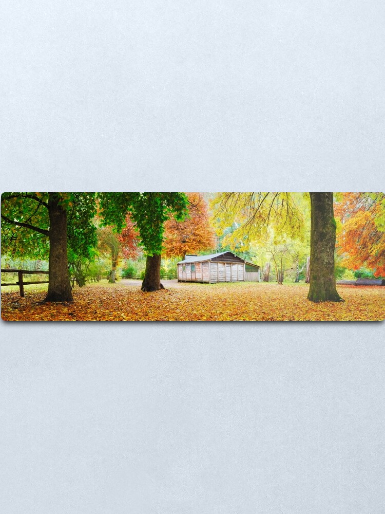 Alternate view of Pickerings Hut, Howqua Hills, Victoria, Australia Metal Print