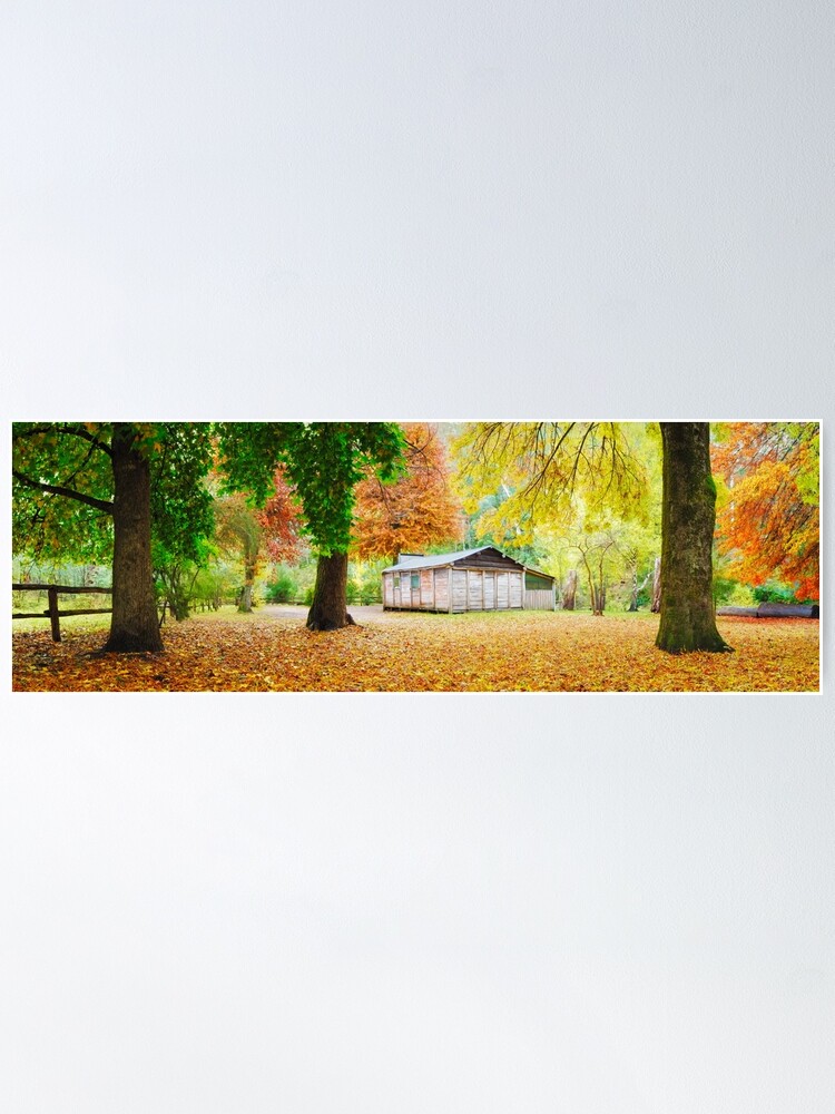 Alternate view of Pickerings Hut, Howqua Hills, Victoria, Australia Poster