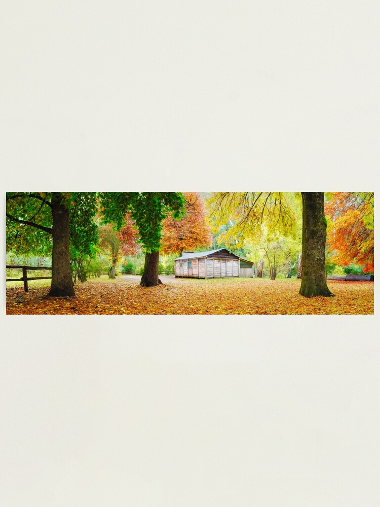 Alternate view of Pickerings Hut, Howqua Hills, Victoria, Australia Photographic Print