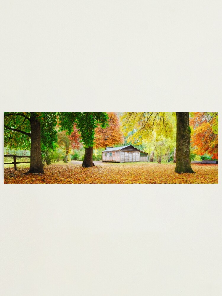 Alternate view of Pickerings Hut, Howqua Hills, Victoria, Australia Photographic Print