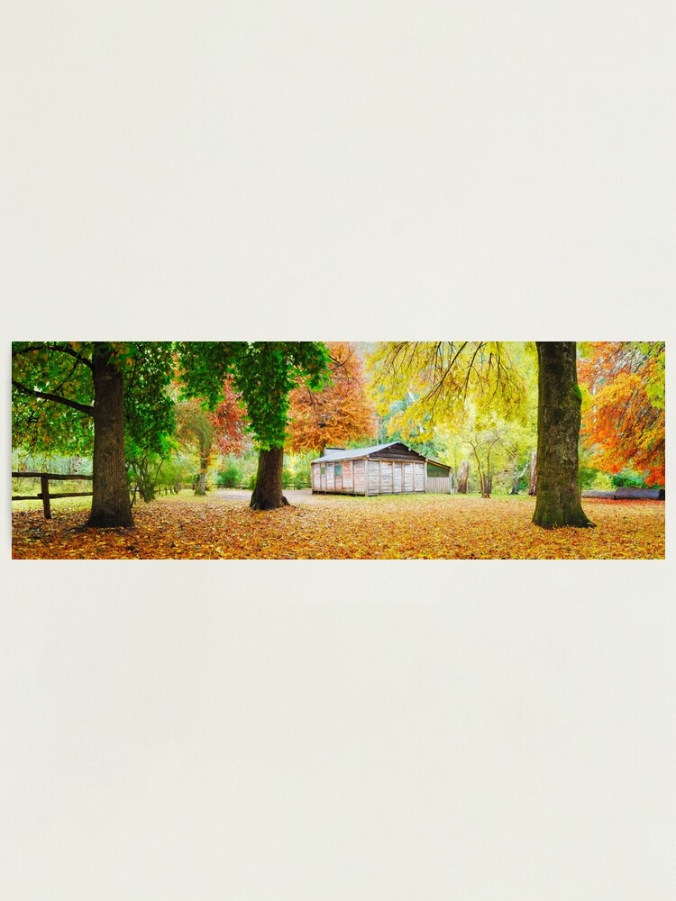 Thumbnail 1 of 3, Photographic Print, Pickerings Hut, Howqua Hills, Victoria, Australia designed and sold by Chockstone.