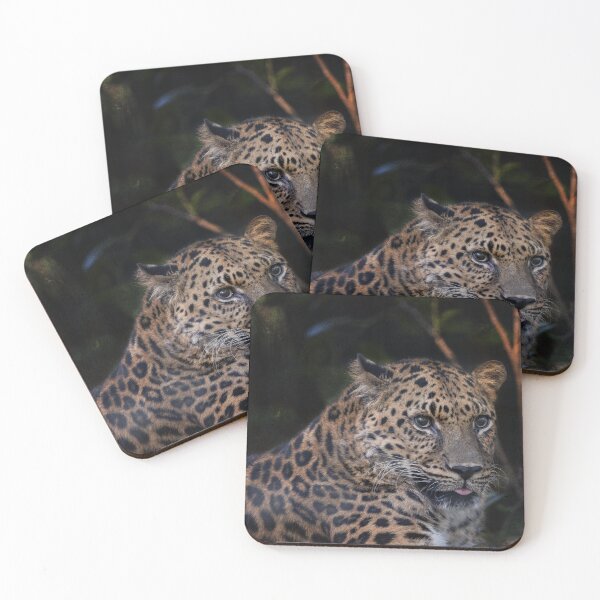 Item preview, Leopard Studies Man designed and sold by KbytesOfJax Outdoor and Nature.