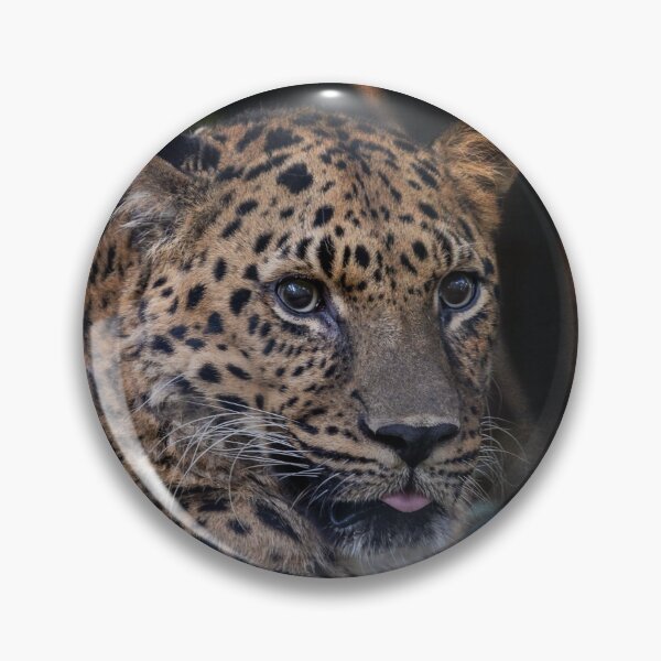 Item preview, Leopard Studies Man designed and sold by KbytesOfJax Outdoor and Nature.