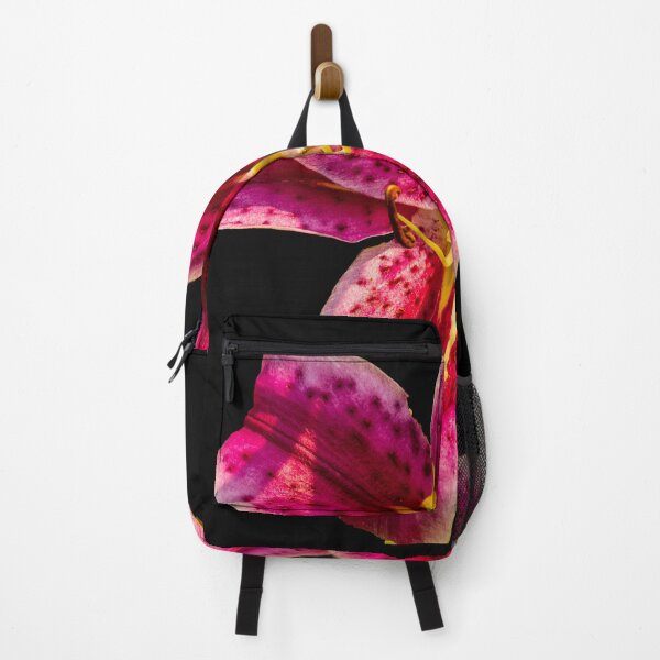 Item preview, Stargazer Lily  Lilium orientalis 'Stargazer' designed and sold by Bryan Spellman.