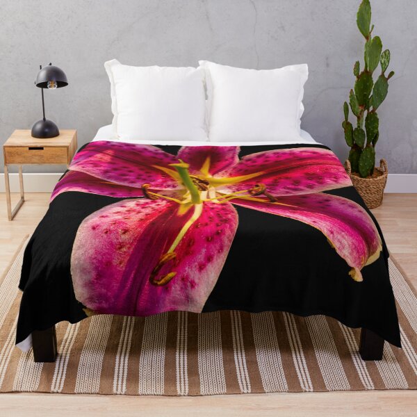 Item preview, Stargazer Lily  Lilium orientalis 'Stargazer' designed and sold by Bryan Spellman.